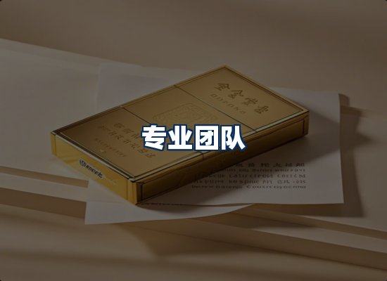 专业团队